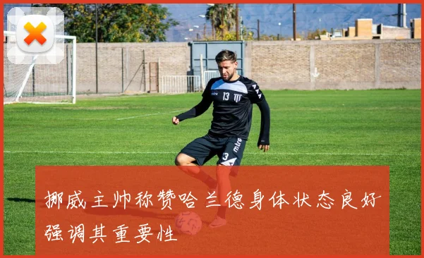 挪威主帅称赞哈兰德身体状态良好强调其重要性