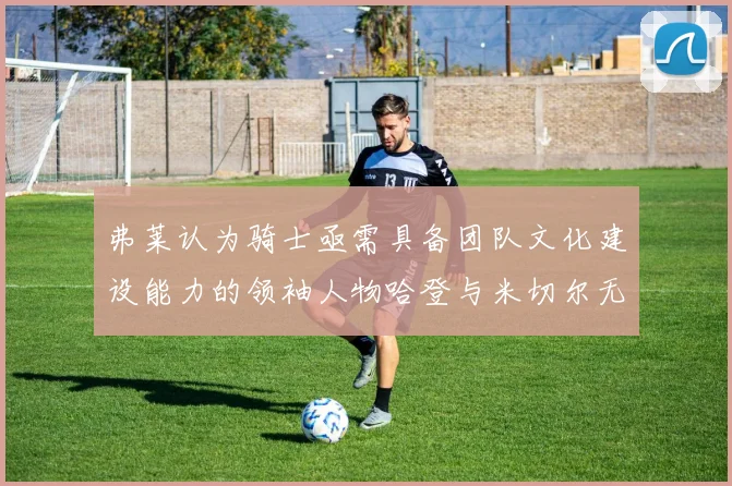 弗莱认为骑士亟需具备团队文化建设能力的领袖人物哈登与米切尔无法胜任