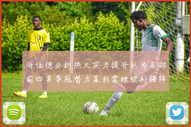 海伍德分析热火实力提升认为东部前四具争冠潜力莱利需继续补强阵容