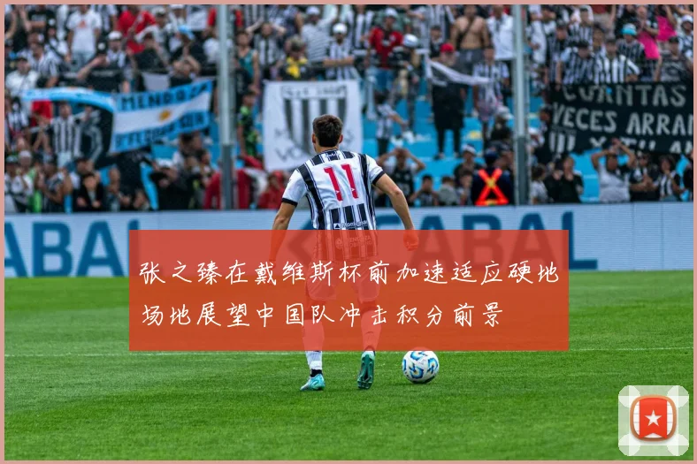 张之臻在戴维斯杯前加速适应硬地场地展望中国队冲击积分前景